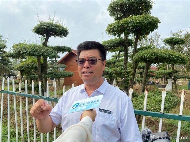 河南鄢陵花木市场助力乡村振兴 朝阳产业带来百姓致富路(图2) 河南鄢陵花木市场助力乡村振兴 朝阳产业带来百姓致富路(图2)