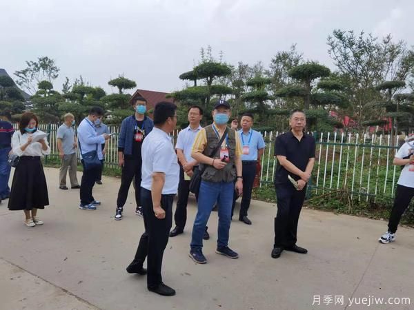 畅游中国花木之乡,两岸媒体人见证鄢陵县乡村振兴之路(图1) 畅游中国花木之乡,两岸媒体人见证鄢陵县乡村振兴之路(图1)