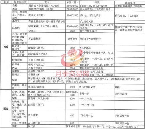 月季病虫害种类及用药总结,就看这张表(图2) 月季病虫害种类及用药总结,就看这张表(图2)