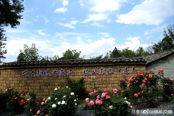 月季与美丽乡村:腾冲老寨子,花在我眼前盛开(图3) 月季与美丽乡村:保山腾冲老寨子,花在我眼前盛开(图3)