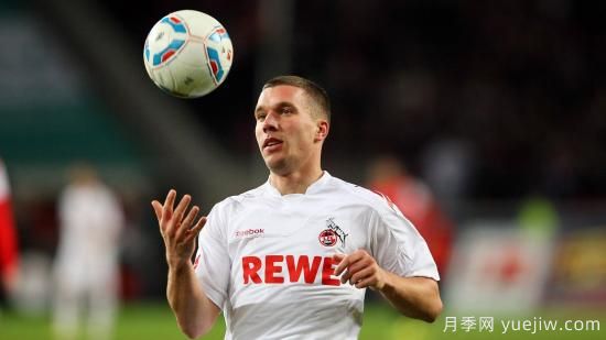 园林绿化常用的速生树种有哪些(图1)