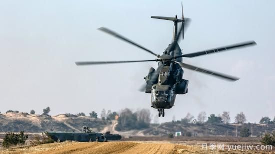 北京哪里有黑月季和蓝月季、或绿月季 北京月季(图1)