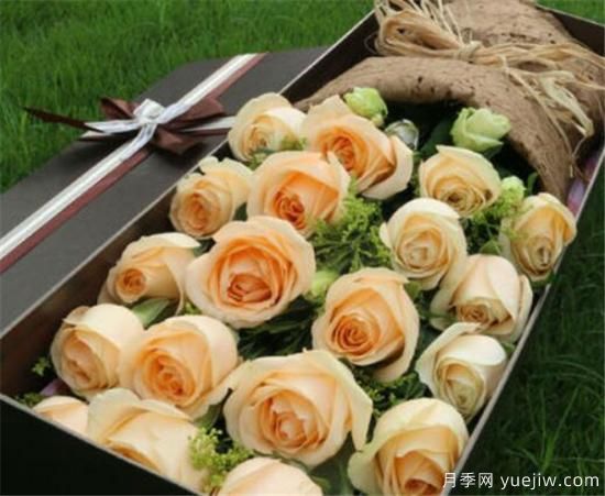 香槟玫瑰多少钱一朵 香槟玫瑰适合送给什么人(图2)