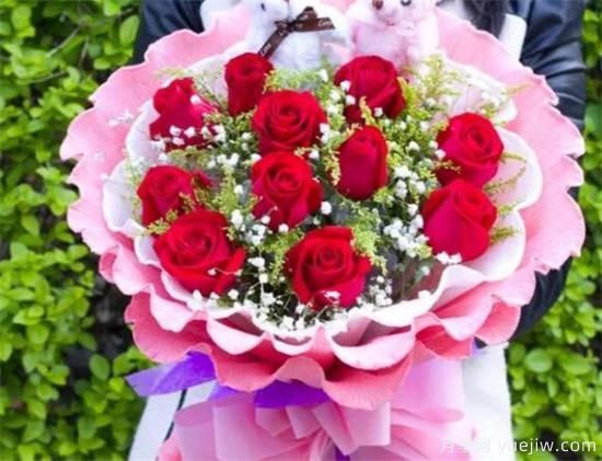 白玫瑰和红玫瑰代表什么  二者有什么区别(图2)