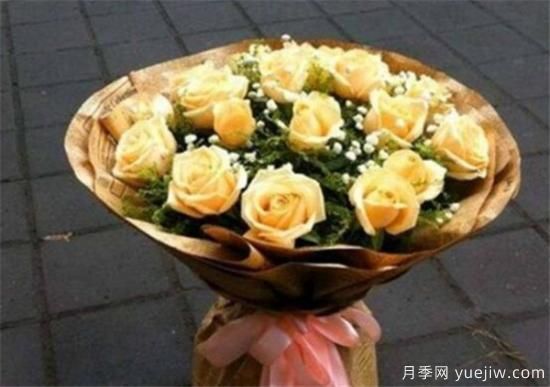 香槟玫瑰怎么养 香槟玫瑰的养殖方法和注意事项(图1)