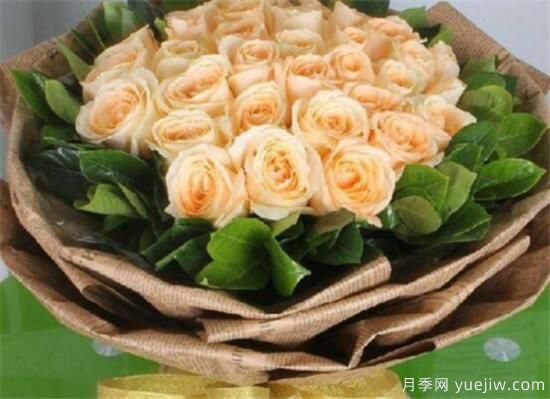 香槟玫瑰的花语是什么 19支和99支香槟玫瑰寓意象征(图3)