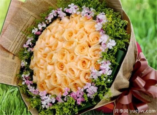 香槟玫瑰几月份开花 香槟玫瑰开花图片资料(图2) 香槟玫瑰几月份开花 香槟玫瑰开花图片资料(图2)