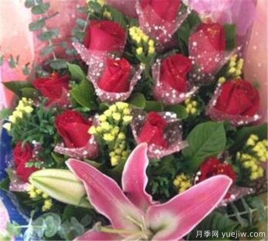 15朵玫瑰代表什么 33朵玫瑰花语是什么(图2) 15朵玫瑰代表什么 33朵玫瑰花语是什么(图2)