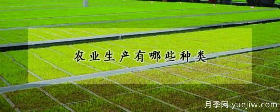农业生产有哪些种类(图1) 农业生产有哪些种类(图1)
