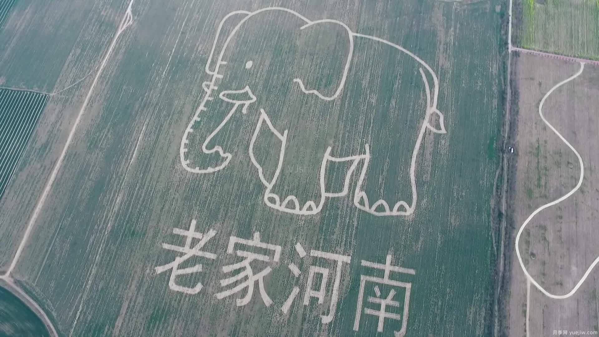 河南为什么被称为“老家河南”?(图1) 河南为什么被称为“老家河南”?(图1)