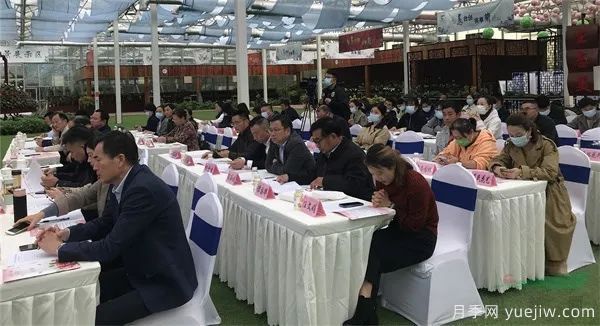 南京花协召开第二次会员代表大会(图1) 南京花协召开第二次会员代表大会(图1)