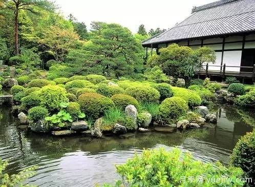 庭院设计与植物搭配的6大风格和30种玩法(图5) 庭院设计与植物搭配的6大风格和30种玩法(图5)