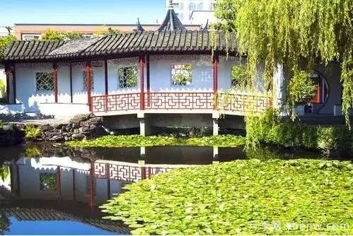 庭院设计与植物搭配的6大风格和30种玩法(图12) 庭院设计与植物搭配的6大风格和30种玩法(图12)