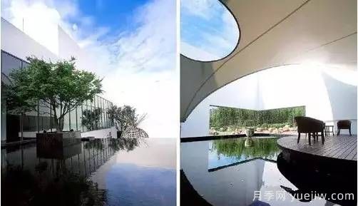 庭院设计与植物搭配的6大风格和30种玩法(图15) 庭院设计与植物搭配的6大风格和30种玩法(图15)