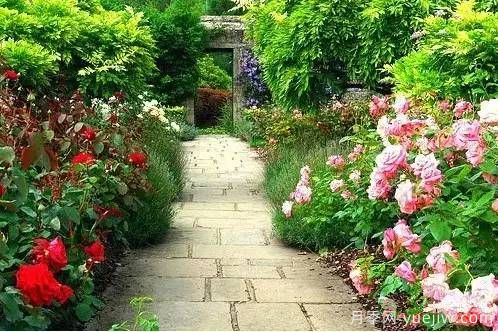 庭院设计与植物搭配的6大风格和30种玩法(图23) 庭院设计与植物搭配的6大风格和30种玩法(图23)