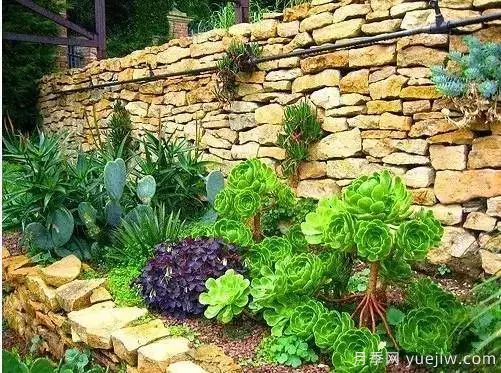 庭院设计与植物搭配的6大风格和30种玩法(图30) 庭院设计与植物搭配的6大风格和30种玩法(图30)