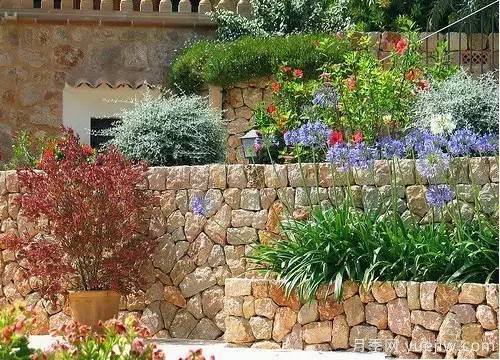 庭院设计与植物搭配的6大风格和30种玩法(图29) 庭院设计与植物搭配的6大风格和30种玩法(图29)