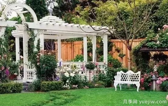 庭院设计与植物搭配的6大风格和30种玩法(图22) 庭院设计与植物搭配的6大风格和30种玩法(图22)