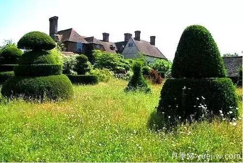 庭院设计与植物搭配的6大风格和30种玩法(图25) 庭院设计与植物搭配的6大风格和30种玩法(图25)