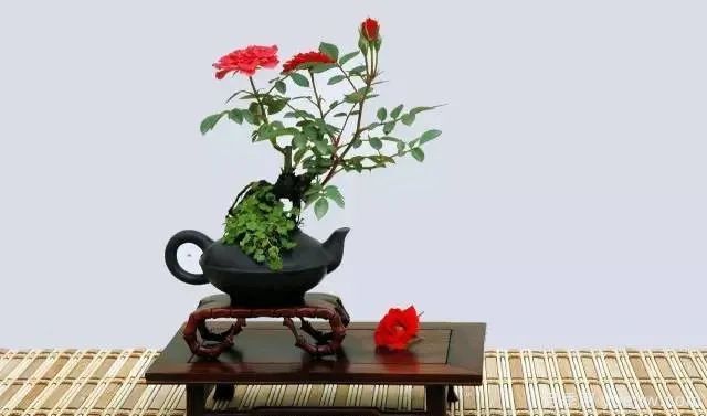 如何制作漂亮的月季盆景?艺术品来了(图1) 如何制作漂亮的月季盆景?艺术品来了(图1)