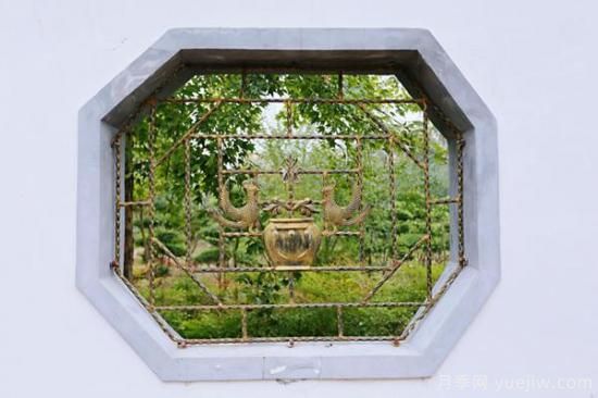 河南鄢陵：中原花木第一村的美丽新图(图4)