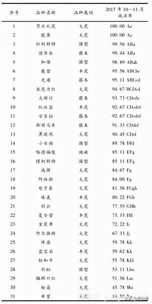 湖南湘中地区月季露地扦插试验(图4)