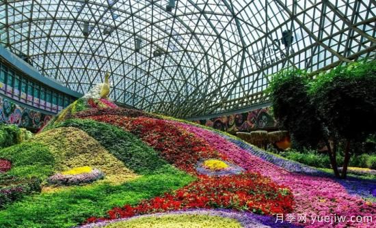 标准体系建设助力花卉产业提档升级(图1) 标准体系建设助力中国花卉产业提档升级(图1)