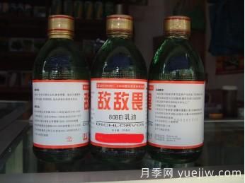 园林养护常用杀虫剂知识(图1)