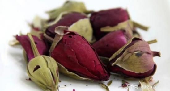 月季和玫瑰如何区分？图解科普很详细(图13)