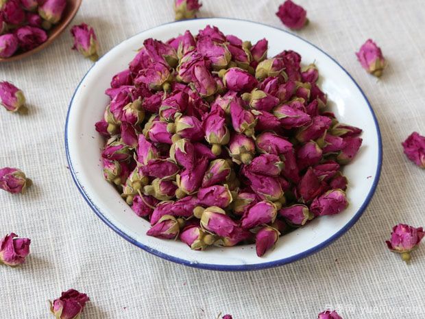 苦水玫瑰(图3) 苦水玫瑰(图3)